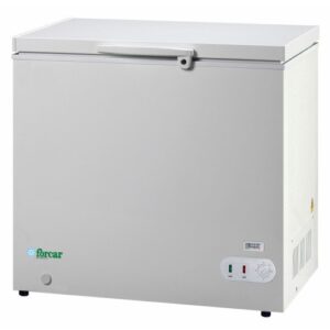 CONGELATORE A POZZETTO STATICO - MOD. G-BD205S - porta cieca battente - Temp. -18°C - Dim. cm L96xP52,5xh84