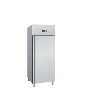 Armadio Refrigerato Negativo Ventilato BT - 733L - Temp. -18°C/-22°C - Dim. cm 74x99x201