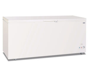 CONGELATORE A POZZETTO STATICO PORTA CIECA BATTENTE – GELO 650 PS – Temp. -10°C / -23°C – Dim. cm L180,5xP75xh88