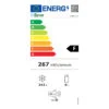 Congelatore a pozzetto Forcar G-BD305S 242 L