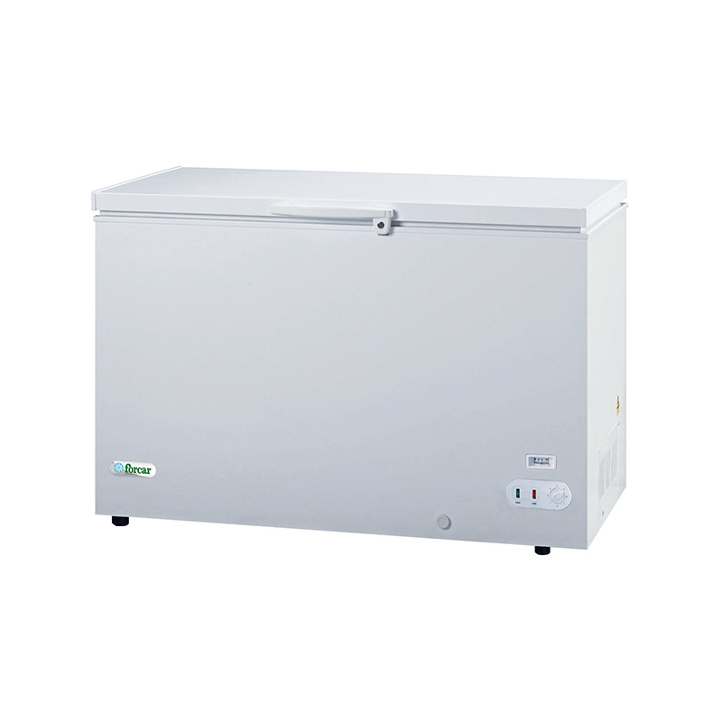 Congelatore a pozzetto Forcar G-BD350S 269 L