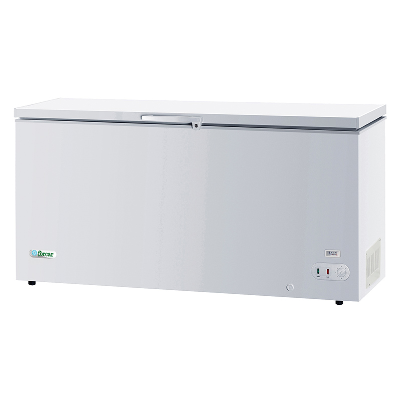 Congelatore a pozzetto Forcar G-BD650S 537 L