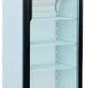 Frigo bibite 1 porta in vetro Forcar G-SNACK176SC | 171 L | statica +2/+8°C | 55x45x165 cm