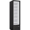 Vetrina verticale Freezer Congelatore Negativa Statica Porta in Vetro – KILA 46 – 213 litri – Temp. -23°C/-18°C – Dim. cm L46xP61xH180,5