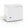 Congelatore a pozzetto statico con coperchio cieco – Mondial MAEL 220 | 210 L | -25/-18 °C | L 89,1 × P 69,5 × H 86 cm